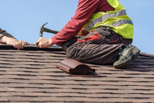 Best Shingle Roofing Installation  in USA